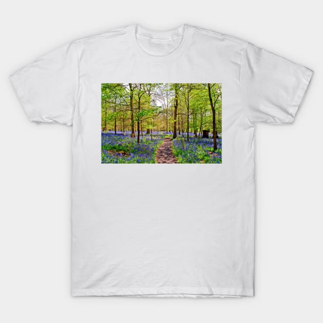 Bluebell Woods Greys Court England UK T-Shirt by AndyEvansPhotos